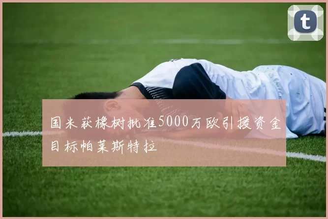 国米获橡树批准5000万欧引援资金目标帕莱斯特拉