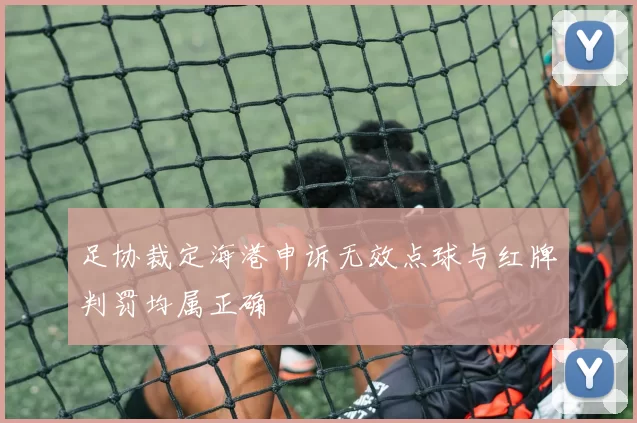 足协裁定海港申诉无效点球与红牌判罚均属正确